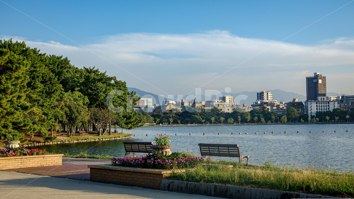bench,nature,Ohori Park,scenery,trees,fukuoka,emotion,Fukuoka,bridge,pink sunset,lake,park,walk