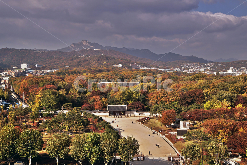 세운상가,종로,아케이드,종묘,서울도심풍경,가을,단풍,계절,종로3가,가을,계절,fall,autumn,season,한국도시풍경,한국도시경관,korea cityscape