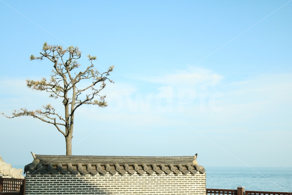 바다,나무,울타리,전통,기와,자연,하늘,자연,풍경,nature,landscape,한국전통,한국문화,korean traditional,korean culture