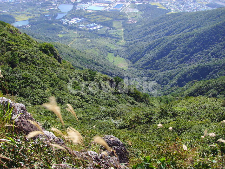 산,영남알프스,신불산,간월산,영축산,갈대,가지산,자연,풍경,nature,landscape,한국자연풍경,한국자연경관,korea nature landscape,outdoors,옥외,mountain