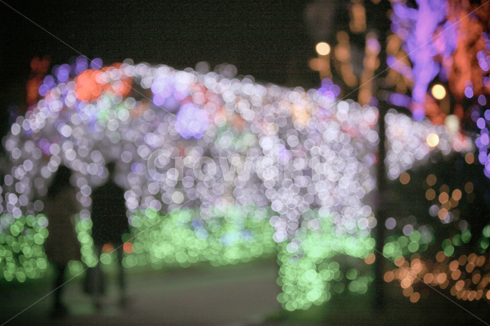 빛,빛축제,축제,야경,빛망울,풍경,도시,도심,light,festival,lightfestival,night,nightphotogrpahy,밤,저녁,city,urban,보케,landscape,야경,밤,풍경,nightscape,night,landscape,축제,행사,festival,carnival,event