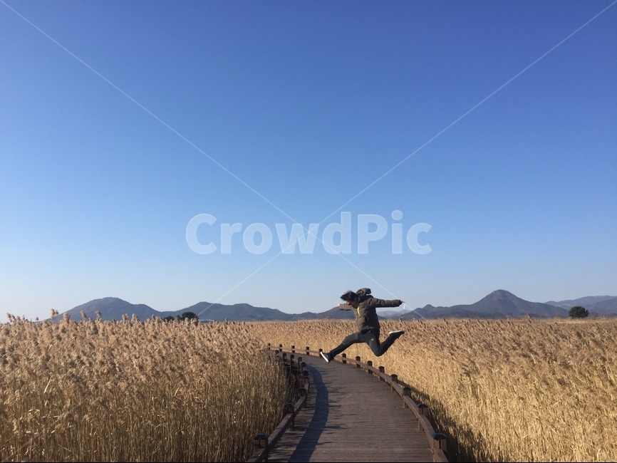 가을,갈대,억새,점프,여행,가을,계절,fall,autumn,season,사람,인물,인간,human,person,남성,남자,man,male,여행,휴가,traveling,vacation,trip,plant,식물