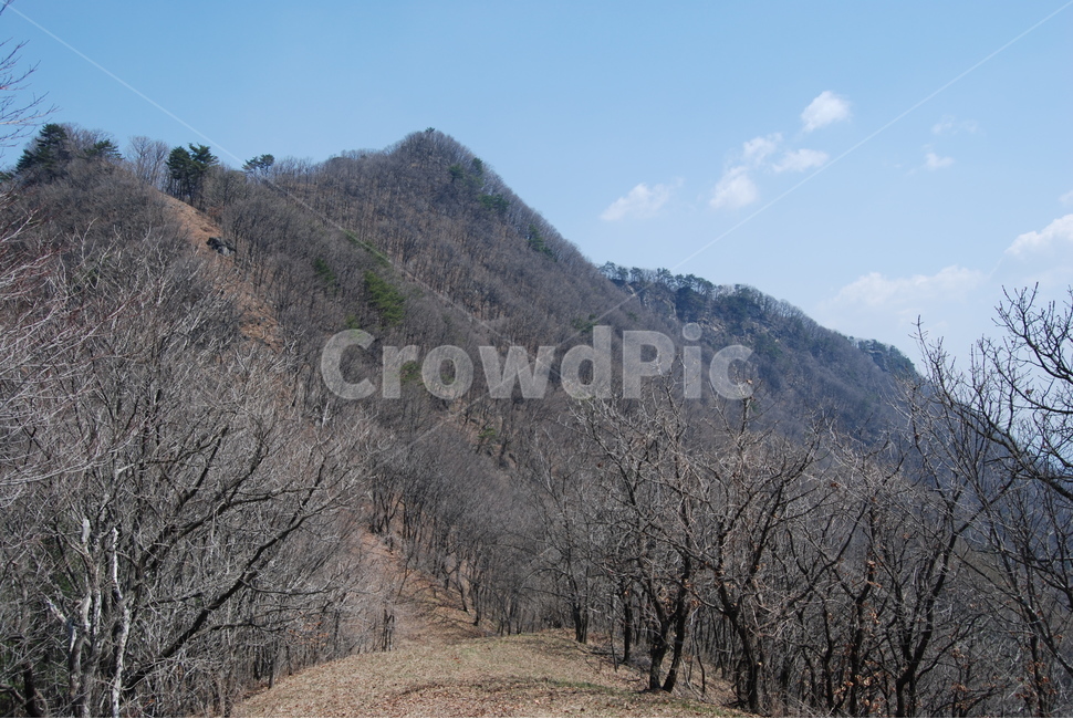 대금산,가평,봄,휴양숲,공원,자연,풍경,nature,landscape,한국자연풍경,한국자연경관,korea nature landscape,outdoors,옥외