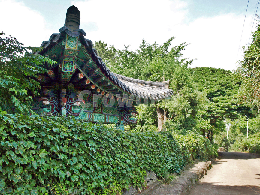 불탑사,원당봉,제주,올레18코스,올레길,사찰,도로,한국전통,한국문화,korean traditional,korean culture,건축물,건물외관,exterior,building,structure,architecture,construction