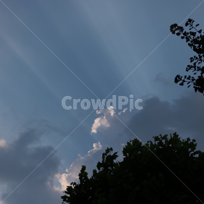 자연,하늘,나무,햇빛,구름,장관,식물,빛,그림자,nature,sky,sora,tree,ki,sunlight,hizashi,cloud,kumo,plants,shokubutsu,light,hikari,shadow,kage,감성,여름,summer,natsu