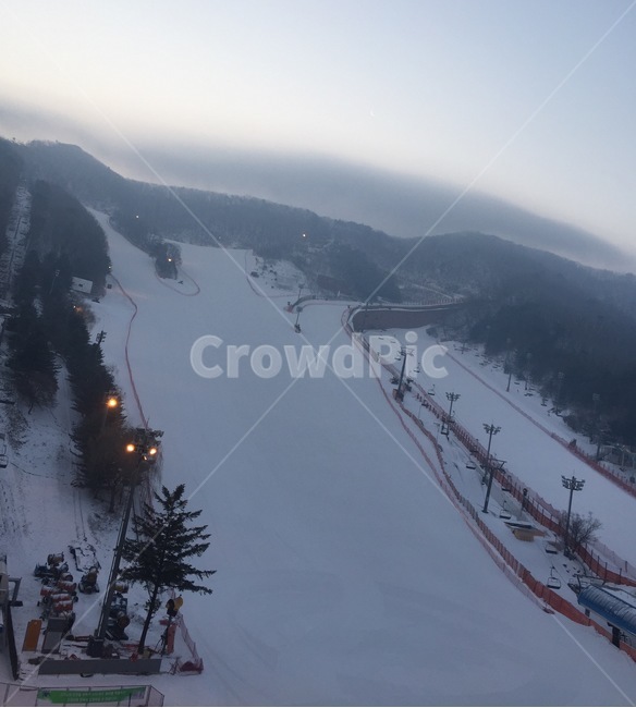 스키장,skislopes,새벽,dawn,풍경,landscape,스키,ski,겨울,계절,winter,season,자연,풍경,nature,landscape,스포츠,레저,운동,sports,leisure,exercise,tree,나무,plant,식물