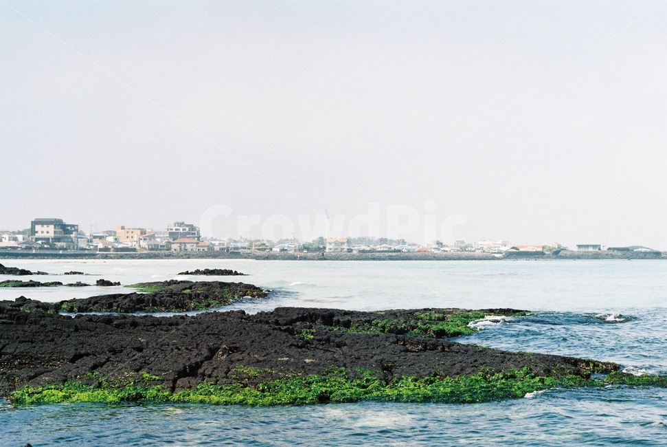 제주도,바다,파란,시원한,여름바다,제주도바다,금능해수욕장,해수욕,해수욕장,금능,제주금능,현무암,푸른,하늘,여름,이끼,자연,풍경,jeju,ocean,sea,beach,healing,nature,sky,blue,summer,landscape,scenery,scene,cool,moss,sand,모래,하늘색,skyblue,cloud,구름,자연,풍경,nature,landscape,한국자연풍경,한국자연경관,korea nature landscape,제주도,jeju,jeju island,plant,식물