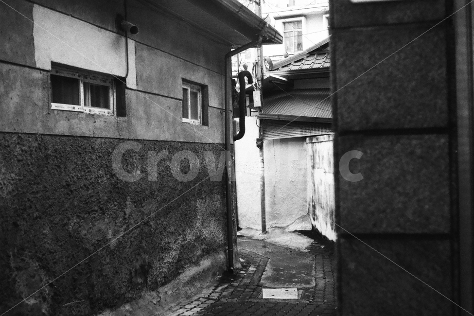 골목,골목길,동네,흑백필름,필름사진,도시,풍경,city,landscape,골목길,alley,흑백,모노톤,monochrome,black and white,town,road,도로,시티,street,거리,building,건물,urban,어반,alleyway