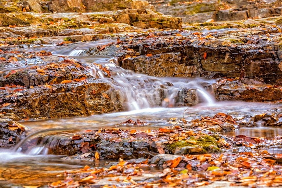 계곡,장노출,가을,단풍,단풍계곡,landscape,자연,물,가을,계절,fall,autumn,season,자연,풍경,nature,landscape,water,outdoors,옥외,river,강