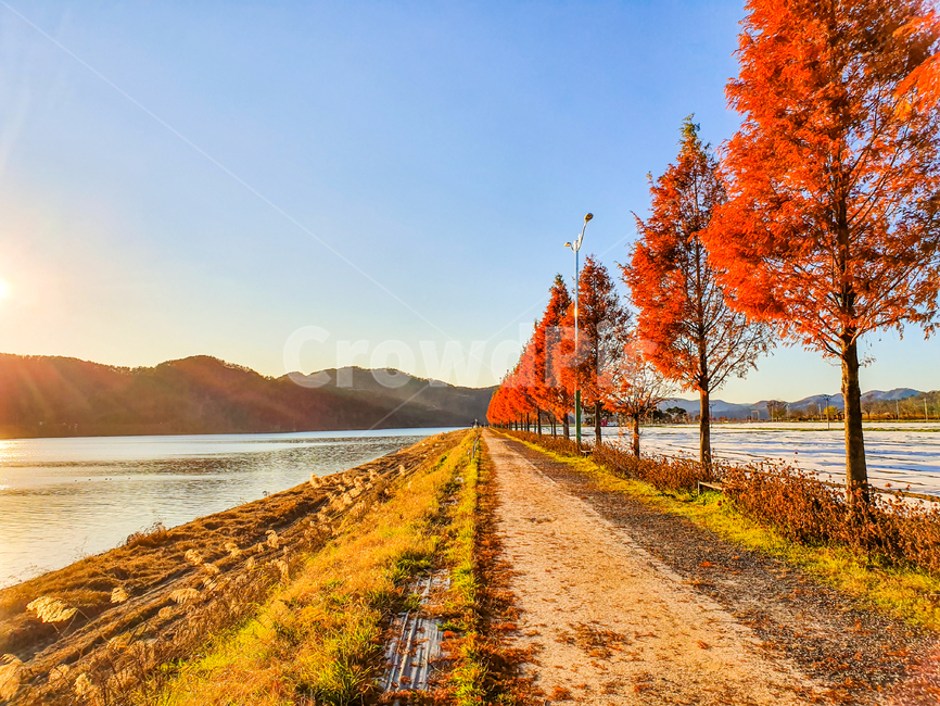 road,도로,gravel,자갈,dirtroad,흙길,길,자연,풍경,가을,계절,fall,autumn,season,자연,풍경,nature,landscape