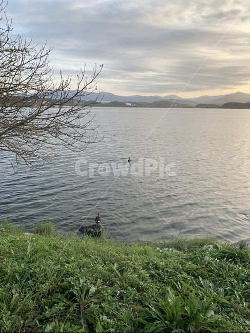 water,호수,물,오리,outdoors,자연,nature,옥외,경포,자연,풍경,nature,landscape