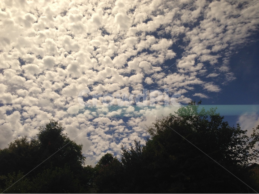 공원,파크,휴식,감성,영국,park,구름,화창한,맑은,자연,풍경,nature,landscape,weather,날씨,sky,하늘,outdoors,옥외,cloud,cumulus,적운