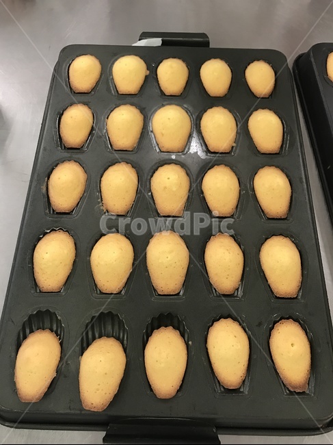 제과,제빵,제과제빵,마들렌,베이킹,버터,밀가루,재료,레몬마들렌