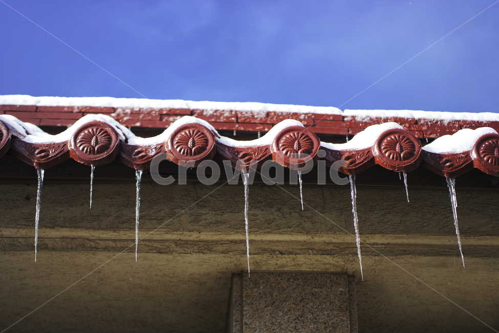 고드름,빙,ice,snow,눈,icicle,처마,지붕,겨울,계절,winter,season