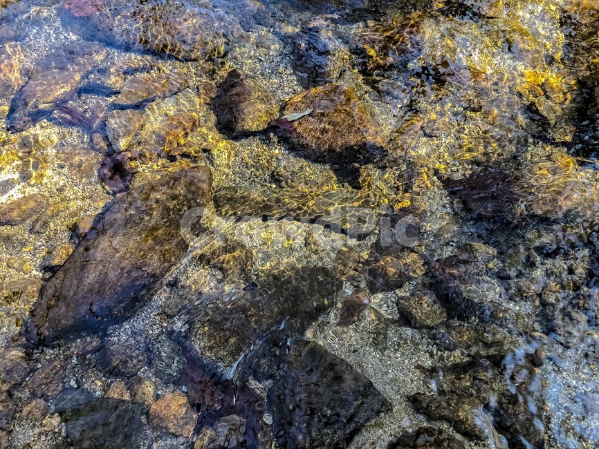 계곡,산,자연,풍경,물,강,자갈,자연,풍경,nature,landscape