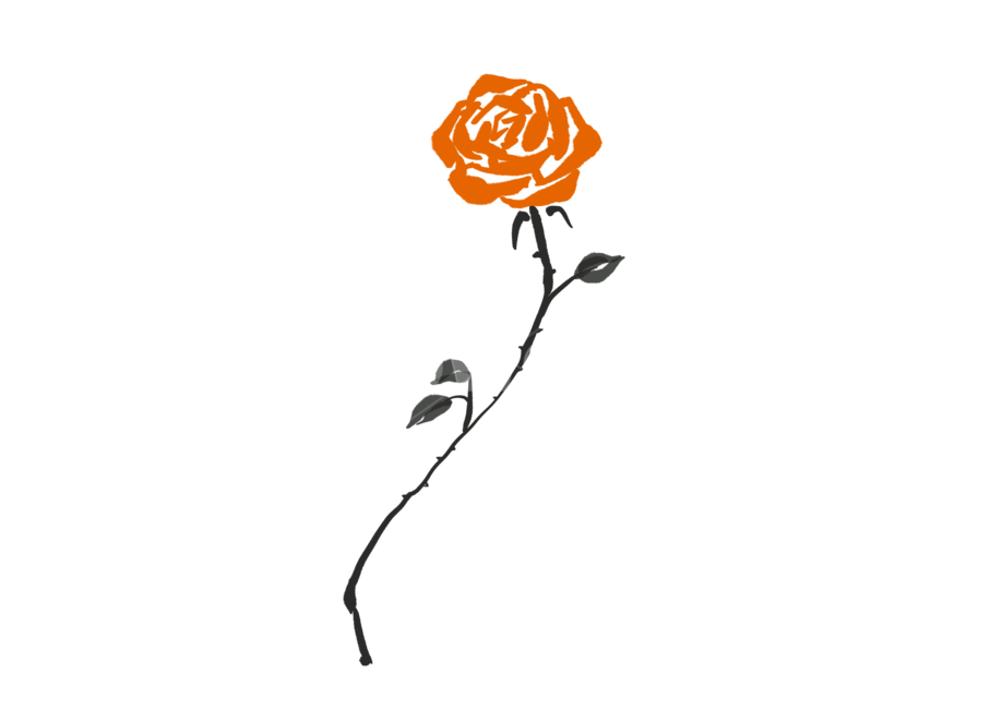 장미,꽃,먹그림,한국화,꽃그림,꽃일러스트,plant,식물,rose,flower,누끼,remove background
