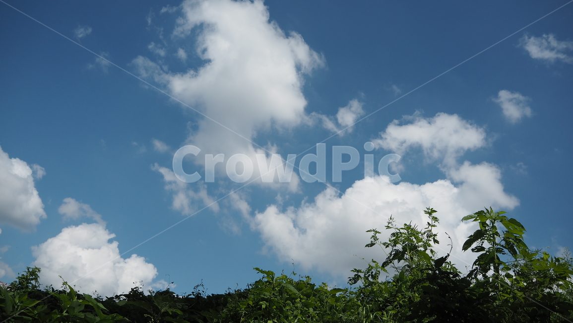 자연,날씨,옥외,구름,하늘,nature,weather,outdoors,cloud,sky,식물,plant,자연,풍경,nature,landscape,cumulus,적운