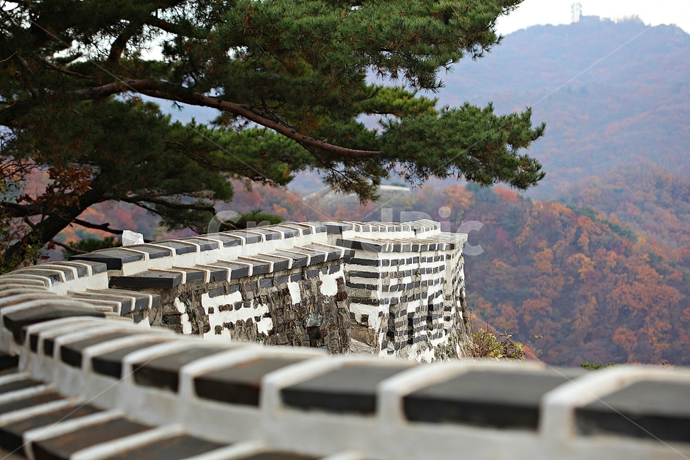 남한산성,성,성곽,단풍,낙엽,길,둘레길,숲,숲길,담,돌담,가을,자연,풍경,벽,울긋불긋,산성,식물,가을,계절,fall,autumn,season