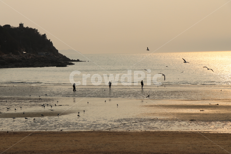 바다,석양,노을,풍경,저녁,을왕리,해수욕장,모래,자연,풍경,nature,landscape,해변,바다,beach,sea,water,물,outdoors,옥외,ocean,대양,bird,새,animal,동물,promontory,곶,adventure,모험,leisure activities,레저 활동