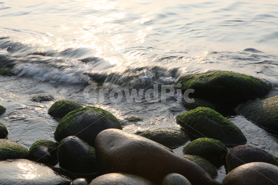 몽돌,이끼,물,바다,파도,자연,풍경,nature,landscape,plant,식물,algae,조류