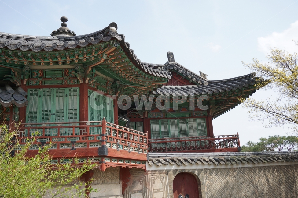 창덕궁,유네스코세계문화유산,고궁,스냅,아날로그,한국전통,한국문화,korean traditional,korean culture,랜드마크,landmark,tourist attraction,한국랜드마크,한국관광지,한국명소,korea landmark,korea tourist attraction,건축물,건물외관,exterior,building,structure,architecture,construction