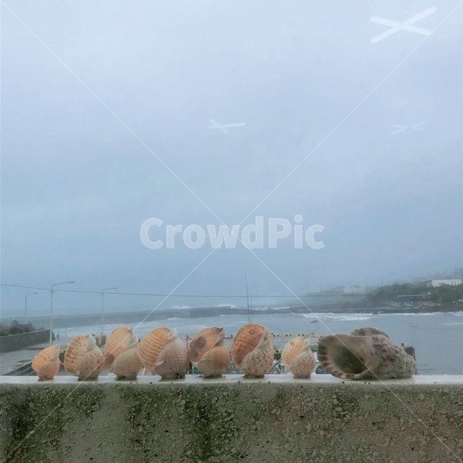 흐린날,바다,소라,정갈함,촉촉한,뿌연