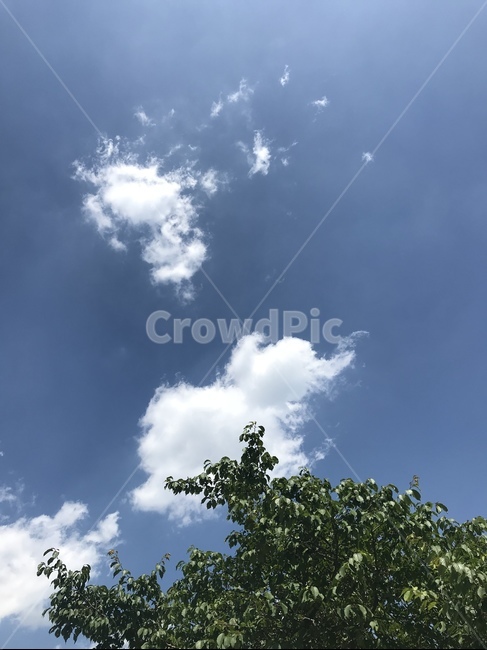 하늘,구름,여름하늘,풍경,landscape,자연,풍경,nature,landscape,outdoors,옥외,weather,날씨