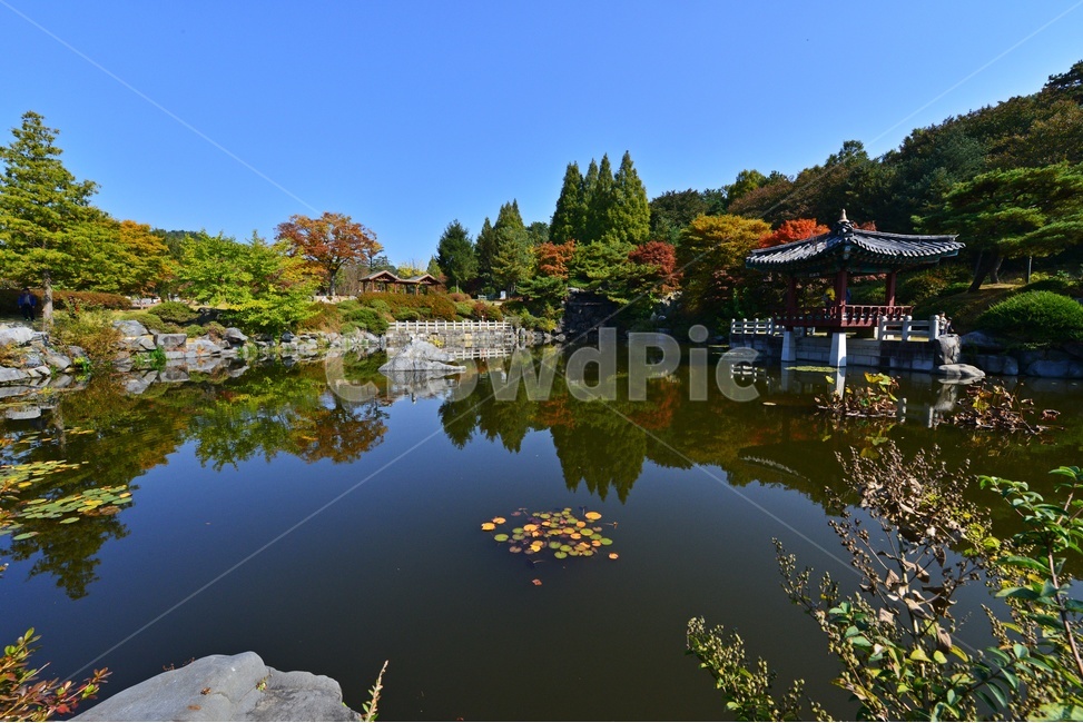 nature,자연,outdoors,옥외,architecture,건축물,water,물,plant,식물,tree,나무,현충원,국립현충원,국립,현충지,추색,가을,계절,만추,단풍,단풍잎,반영,정자,경치,경관,풍경