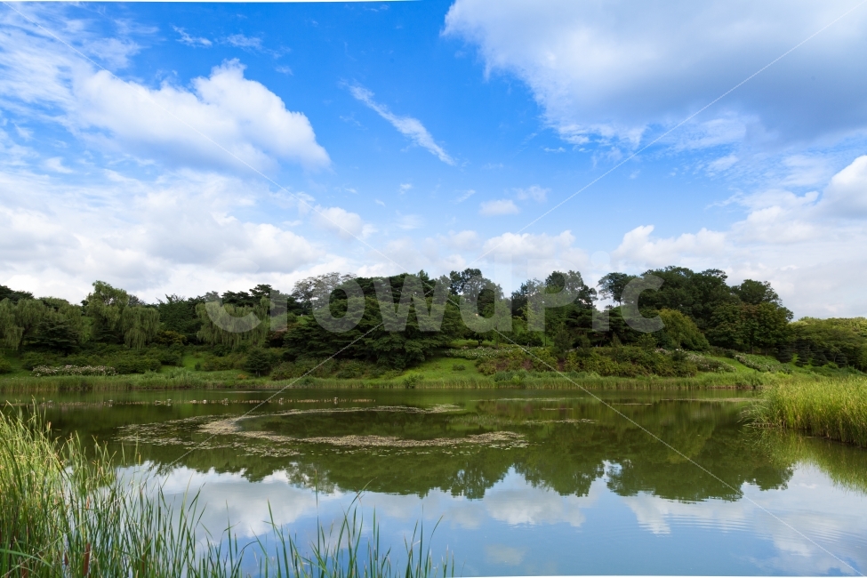 올림픽공원,호수,공원,서울,반영,녹색,봄,여름,하늘,구름,맑음,잡초,Olympicpark,lake,park,seoul,reflect,green,spring,summer,sky,clouds,landscape,water,reflection,forest,nature,scenery,blue,mountain,vacation,tourism,beautiful,environment,outdoors,natural,travel,national,trees,lakemountain,background,자연,풍경,nature,landscape,여름,계절,summer,season,물,옥외,land,땅