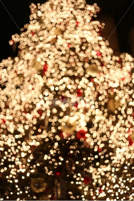 크리스마스,트리,크리스마스트리,불빛,성탄절,메리크리스마스,성탄절,merry christmas