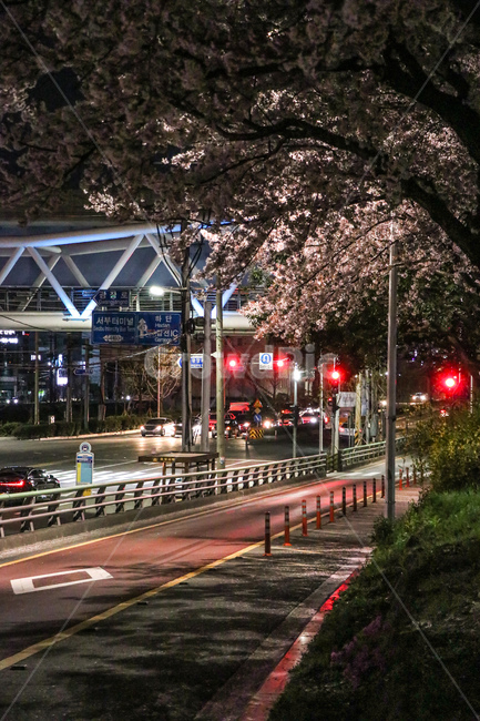 road,도로,tarmac,asphalt,아스팔트,야경,야경,밤,풍경,nightscape,night,landscape