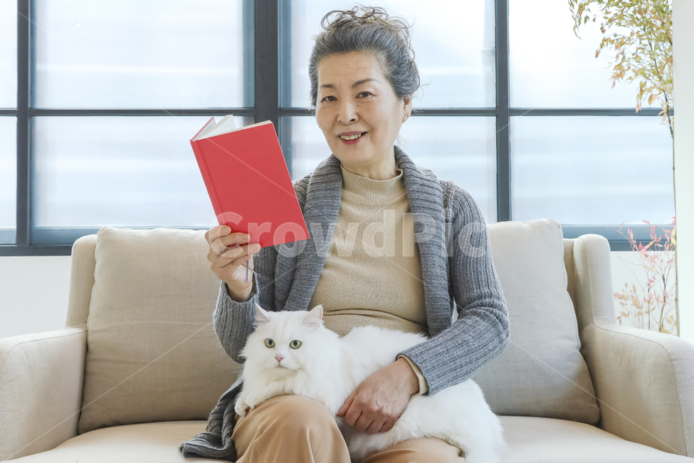 고양이,노인,여성,일상,반려동물,은퇴,여가,여유,행복,미소,만족,즐거움,생활,인테리어,실내,소파,의자,창문,하얀고양이,무릎냥,나이든여성,흰색,회색,붉은색,베이지색,따뜻함,포근함,할머니,60대여성,70대여성,흰머리,사랑,신뢰,동거,반려,애완동물,동물,백발,우아한,고귀한,귀여운,안기다,앉다,마주보다,웃다,책,타블릿,읽다