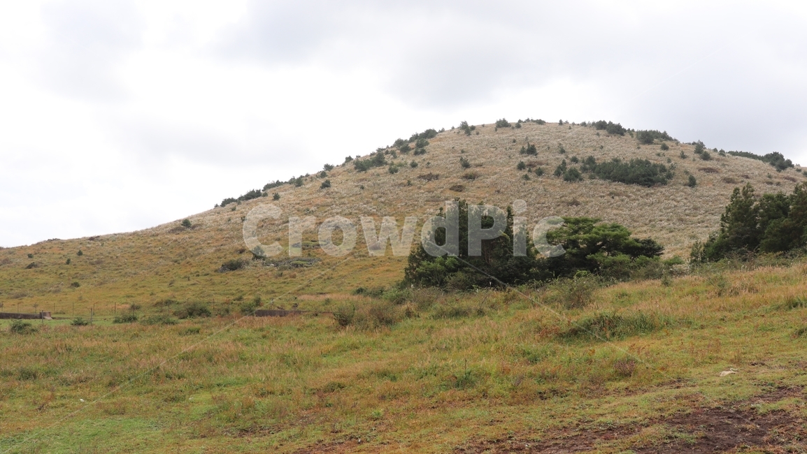 outdoors,옥외,nature,자연,slope,경사,grassland,목초지,field,들,오름