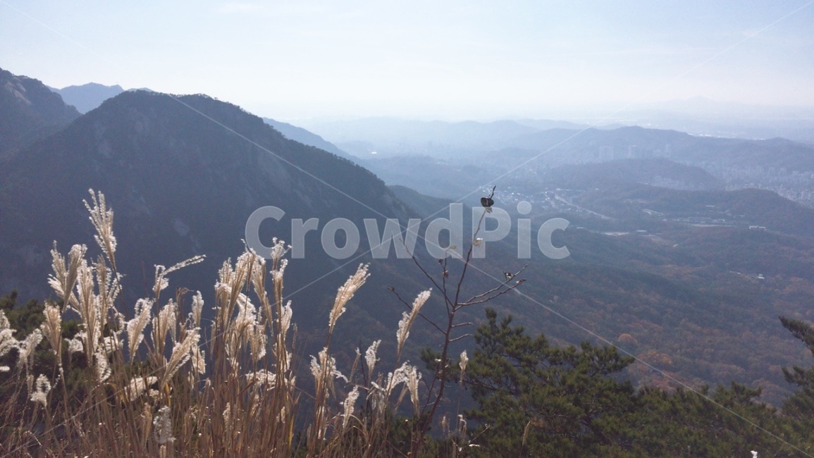 가을등산,사을산,단풍,북한산,가을,자연,풍경,nature,landscape,grass,잔디,plant,식물