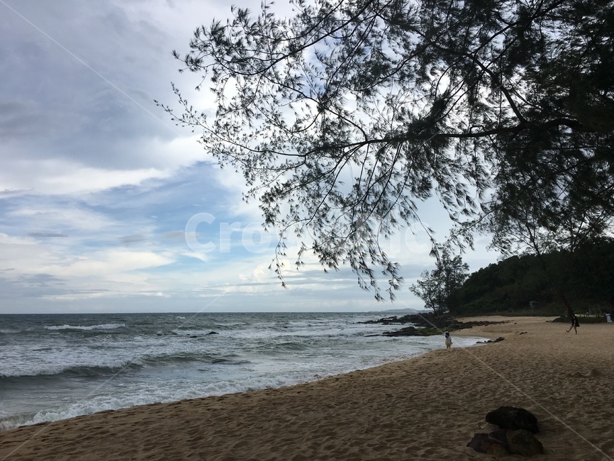 해변,비치,베트남,동남아,푸꾸옥,자연,nature,나무,식물,해변,바다,beach,sea