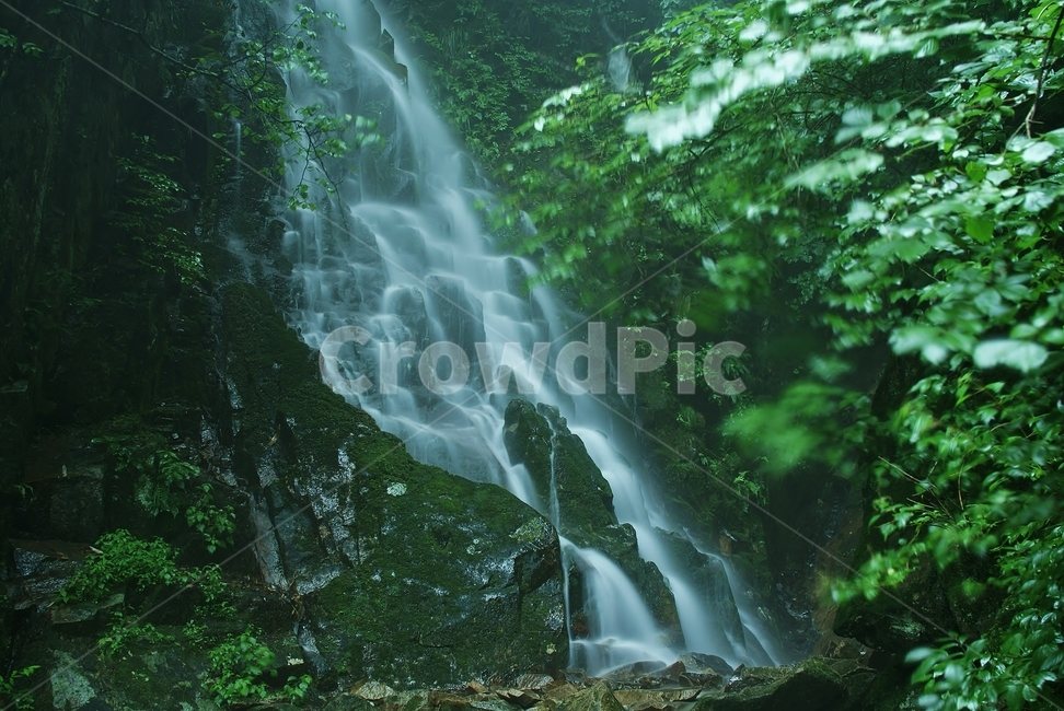 폭포,여름,대둔산,풍경,계곡,자연,풍경,nature,landscape,water,물,outdoors,옥외,river,강,waterfall