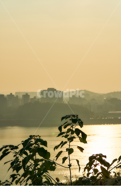 하늘공원,하늘,풍경,노을,감성,힐링,식물,자연,plants,nature