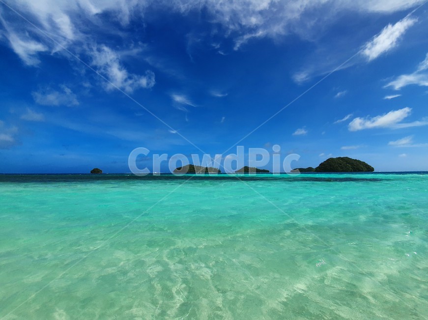 팔라우,바다,해변,palau,남태평양,자연,shoreline,ocean,풍경