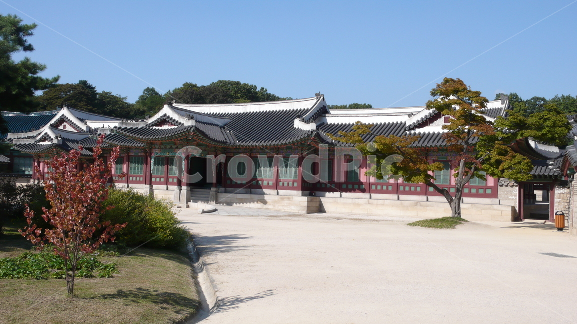 청덕궁,역사,조선시대,궁궐,기와,한국전통,한국문화,korean traditional,korean culture,랜드마크,landmark,tourist attraction,한국랜드마크,한국관광지,한국명소,korea landmark,korea tourist attraction