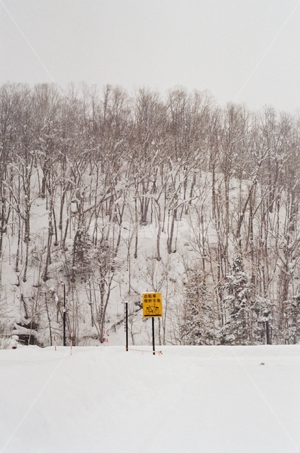 설경,눈,겨울,산,비에이,biei,snow,winter,mountain,겨울,계절,winter,season,자연,풍경,nature,landscape,outdoors,옥외