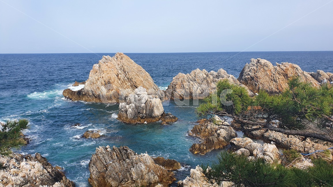 자연,바다,바위,sea,nature