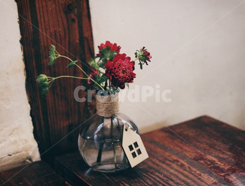 꽃,화병,flower,빨강,식물,인테리어,빈티지,식물,자연,plants,nature,꽃,flower,실내용화초,화분,화초,house plant,감성,sensible,feeling,인테리어,실내디자인,interior design