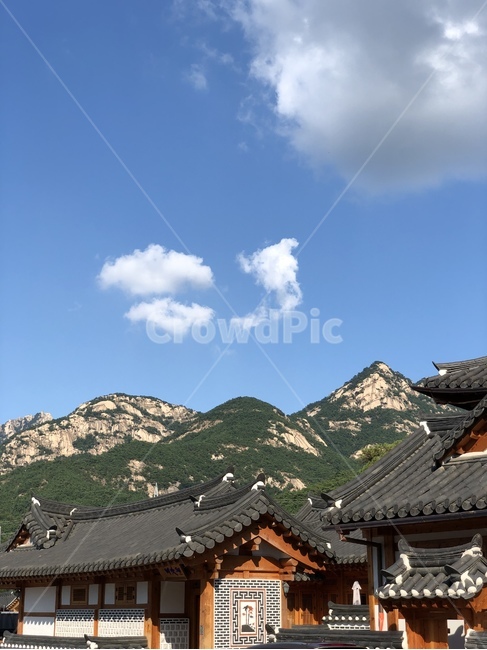 roof,지붕,한옥,가을,하늘,건물,전통,한국전통,한국문화,korean traditional,korean culture,건축물,건물외관,exterior,building,structure,architecture,construction