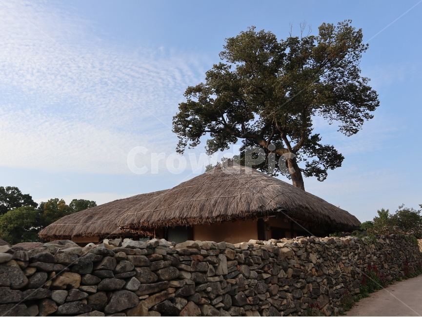 초가집,돌담,느티나무,파란하늘,외암마을,한국전통,한국문화,korean traditional,korean culture