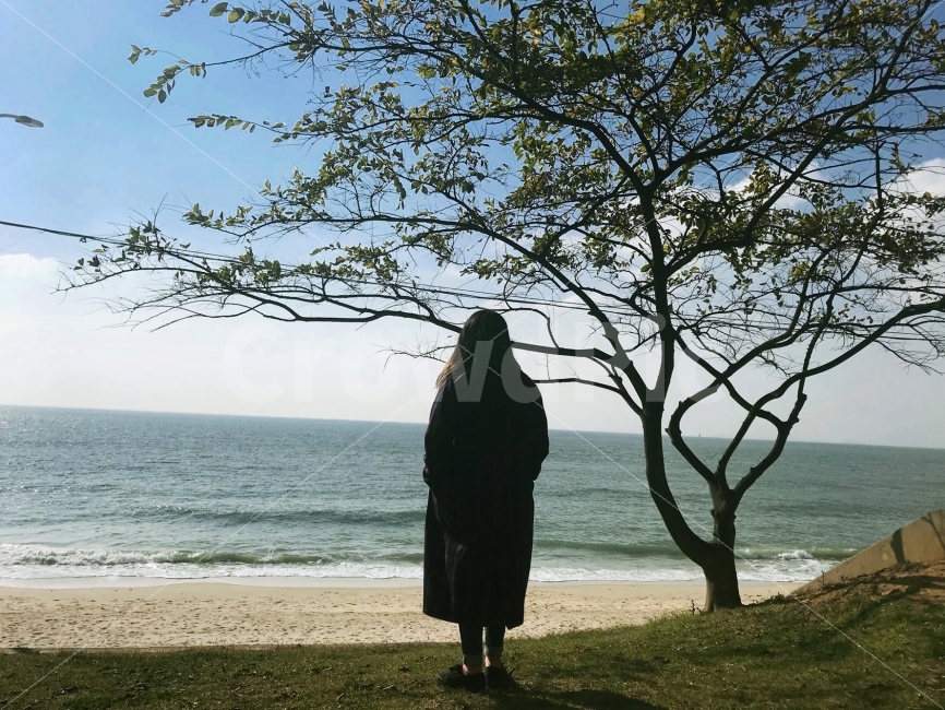 인물,실루엣,바다,해수욕장,파도,나무,풍경,배경화면,바탕화면,모래사장,해변,바다,beach,sea,식물,자연,plants,nature,나무,trees,wood,사람,인물,인간,human,person,여성,여자,woman,female,lady,인물실루엣,사람실루엣,character silhouette,human silhouette,고독함,외로움,쓸쓸함,우울함,슬픔,lonely,solitary,apparel,의복,clothing,의류