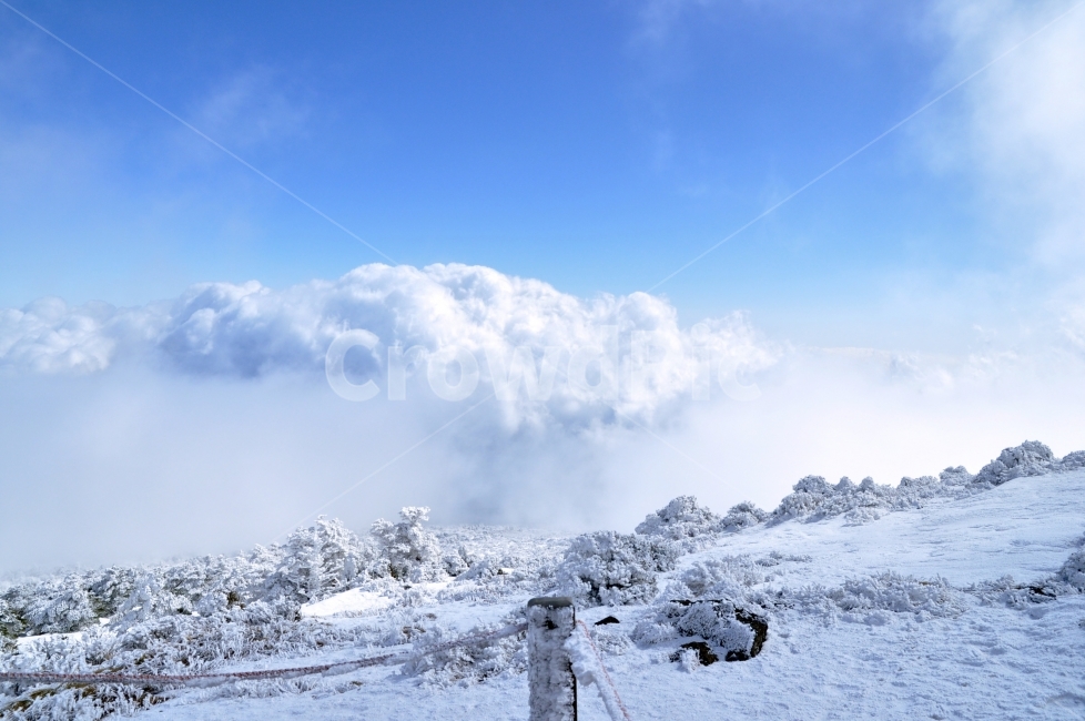 	한라산,겨울산,설경,설원,눈안개,겨울나무,등산,눈꽃,산,눈,겨울,winter,hallasan,snow,snowscape,snowflake,snowyfield,fog,mountain,구름위,하늘,파란하늘,bluesky,sky,운해,시원,cool,겨울,계절,winter,season,자연,풍경,nature,landscape,한국자연풍경,한국자연경관,korea nature landscape,제주도,jeju,jeju island,outdoors,옥외