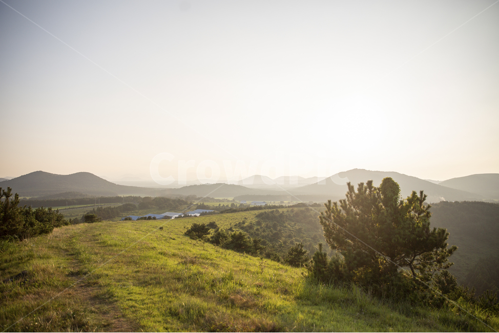 제주오름,오름,오름사진,오름풍경,제주도오름,햇살,햇빛,따스함,따뜻함,노을,해질녘,소나무,제주도풍경,제주풍경,제주도사진,제주사진,제주하늘,제주도하늘,싱그러움,푸릇함,자연,풍경,nature,landscape,제주도,jeju,jeju island,outdoors,옥외