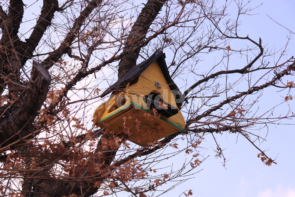 새집,뻐꾸기,둥지,감성,새둥지,birdfeeder,조류피더