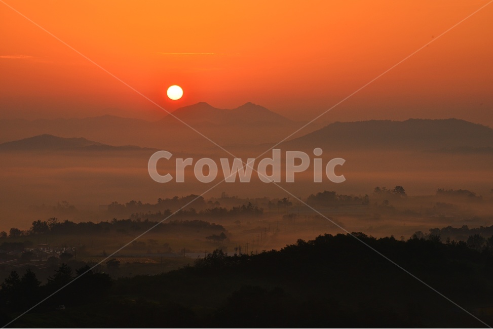 전남,함평,밀재,밀재일출,여명,아침,해돋이,sky,하늘,dawn,새벽,redsky,붉은하늘,fog,안개,plant,식물,nature,자연,outdoors,옥외,scenery,풍경,landscape,경치,mountain,산