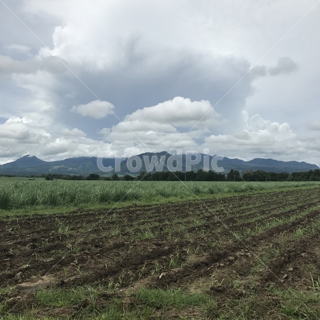 자연,하늘,구름,밭,산,풀,시골,마을,풍경,landscape,country,rural,town